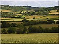 Countryside, Radnage