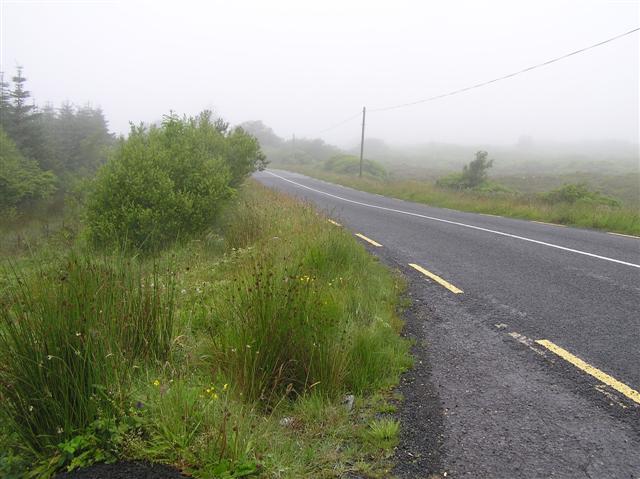 Pettigoe Road
