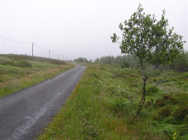 Road at Carricode