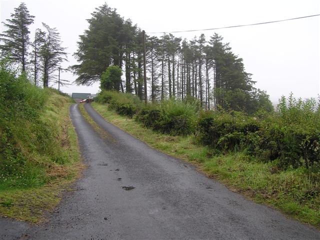 Road at Rushen
