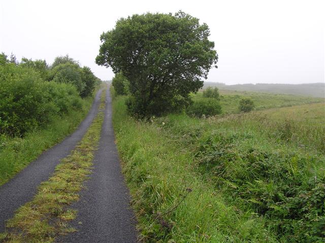 Road at Barr of Ballynacarrick