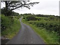 G9765 : Road at Tullynasiddagh by Kenneth  Allen