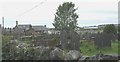 Old cemetery behind the main street