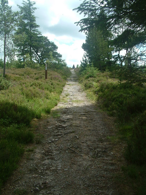 Uphill to the memorial  in Whiteash Hill Wood
