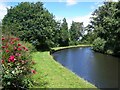 Staffordshire & Worcestershire Canal, Gravelly Way