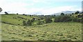 Mown hayfield in a small valley below Carmel