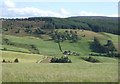 View towards Minmore Croft