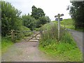 NY6757 : South Tyne Trail near Lambley by Oliver Dixon