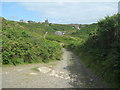 The lane to Nancherrow