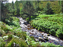 NO4792 : Water of Allachy, Glen Tanar by Alan Findlay