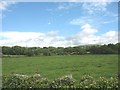 View across fields in the direction of Rhosgadfan