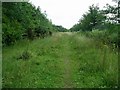 Footpath, Nuthall