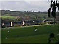 View of Crane Moor