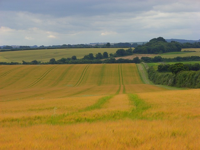 Barley, Bighton