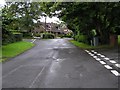 Road at Knocksilla Park, Omagh