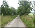 Road from Upper Balfour