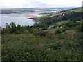 Penrhyn and the Teifi estuary