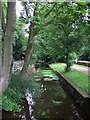 Disused mill lade