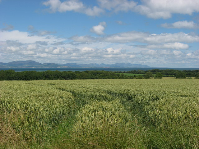 View at Johnstown, Dunany, Co. Louth