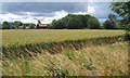 Looking south from path to Mendlesham from Hoggars Road