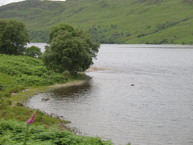 Shore of Loch More