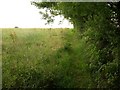 Footpath near Newton Downs