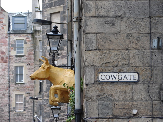 The Cow at Cowgate