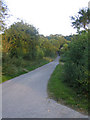 Farm road near Teffont Farm Buildings