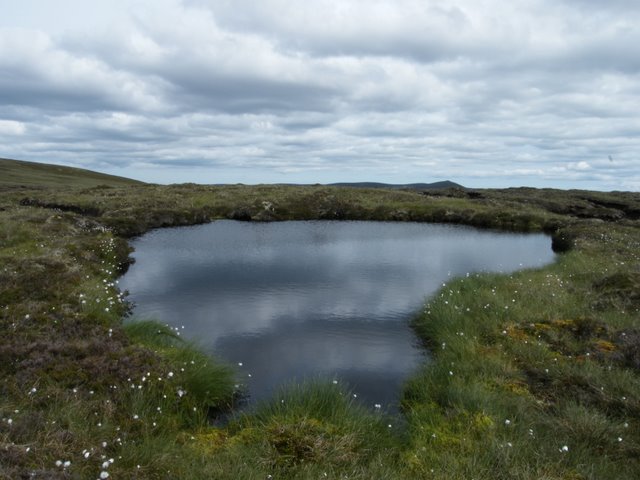 Moorland pond