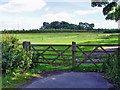 Pastures beside Great Gutter Lane