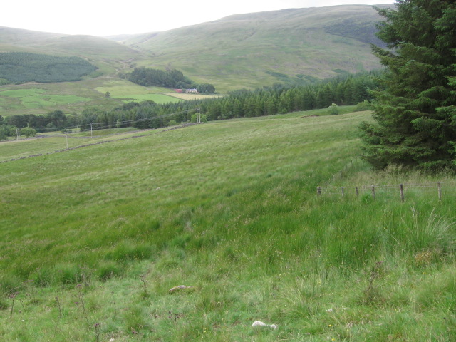 Lochingirroch forest towards Blackcraig