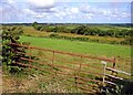 Fields near Llwynwernau, Llanarth