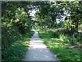 Part of the Derby and Sandiacre Canal