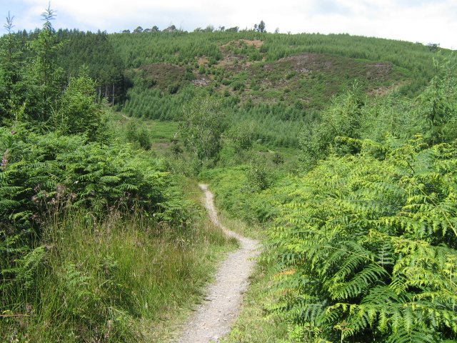 Mabie Forest - Cycle Trail
