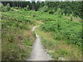 Mabie Forest - Descender Bender