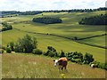 Farmland, Radnage