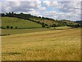 Barley, Radnage