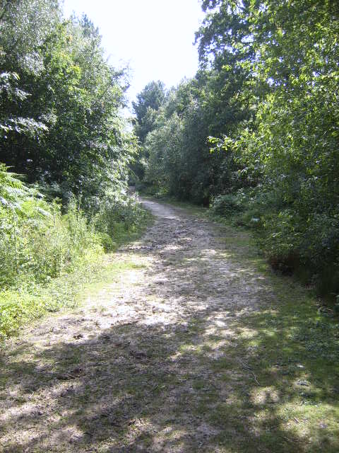 Main footpath Bixley Woods