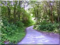 Road to Alltgoch Quarry