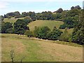 Cwm Geyron, Capel Dewi, Llandysul