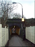 TQ2281 : Du Cane Road - tunnel/footpath, W12 by Phillip Perry