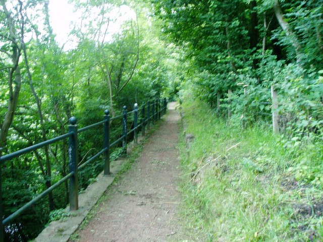 Clydewalkway at Stonebyres