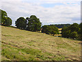 Farmland, Saunderton