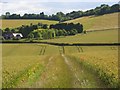 Farmland, Saunderton