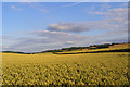 Farmland, Bledlow