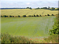 Farmland, Great Shefford