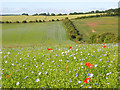 Farmland, Great Shefford