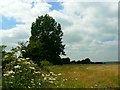 Not Mud Lane, Restrop, near Purton