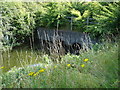 Grantham Canal