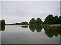 Fishing pool at Boningale